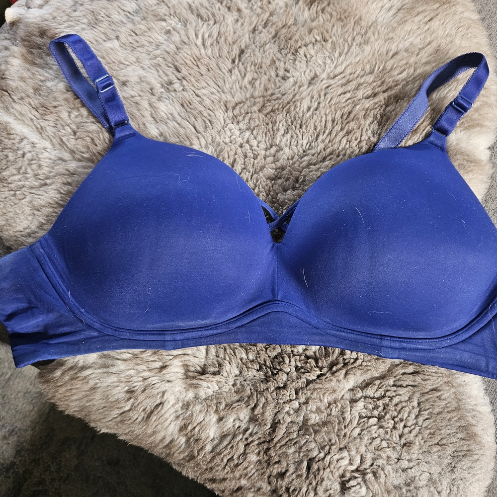 Torrid Blue Seamless T-Shirt Bra with Molded Cups